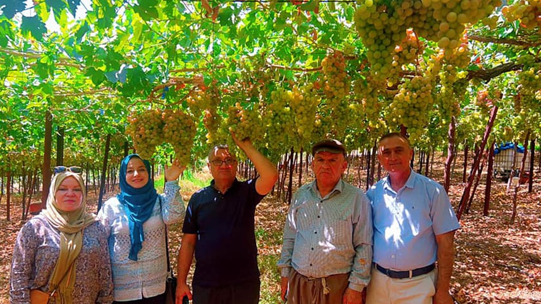 Duhok gears up for Grape and Honey Festival amid strong grape harvest projections