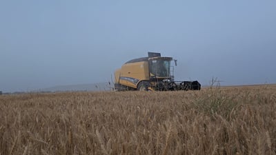 طرق الري الحديثة والمرشات تنجح في سهل نينوى.. ناتج أكبر يعوض كلفة المعدات (فيديو)