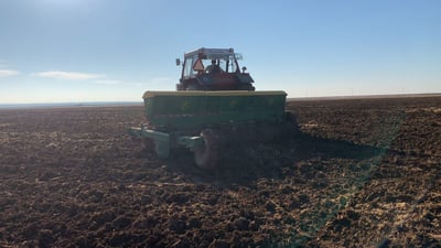 شاهد الفرق بين زراعة الري والأمطار.. الزخة الأولى أفرغت المخازن!