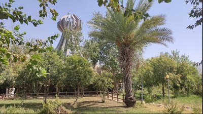 باخچەکەی مۆنۆمێنت کە خورمای گرتووە باخەوانی دەوێ