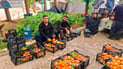 حەوشەی قوتابخانەکەیان کردووە بە باخ و بەرهەمەکەی دەدەن بە پێداویستییەکان