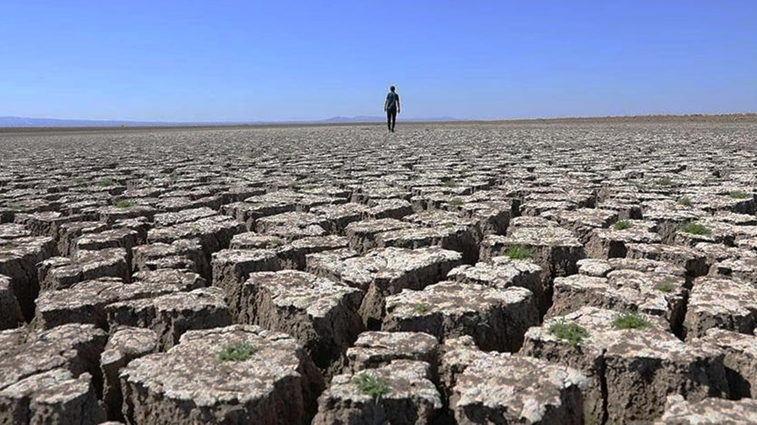عێراق پێویستی بە چاندنی 15 ملیۆن نەمامە و مەترسی لەسەر چەند ناوچەیەکی هەرێمیش هەیە