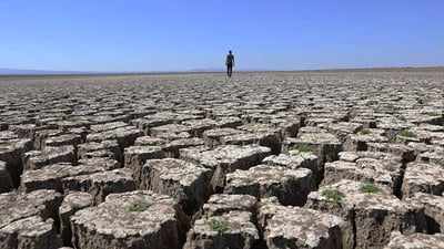 عێراق پێویستی بە چاندنی 15 ملیۆن نەمامە و مەترسی لەسەر چەند ناوچەیەکی هەرێمیش هەیە