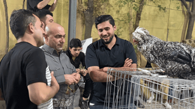 فێستیڤاڵی پێشاندان پەلەوەر و باڵندەی جوانی لە هەولێر بەڕێوەچوو