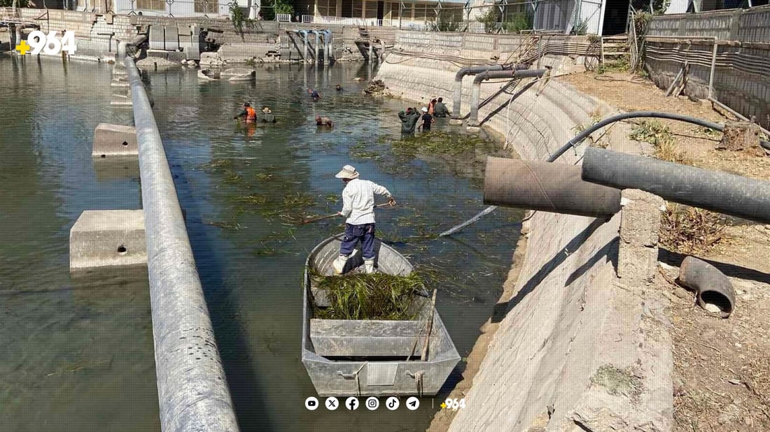 ئاوی دەریاچەی سەرچنار پاککرایەوە