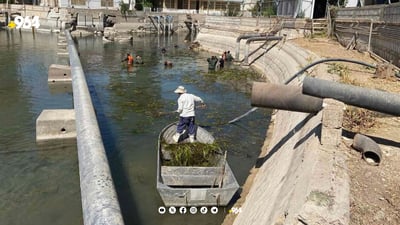 ئاوی دەریاچەی سەرچنار پاککرایەوە