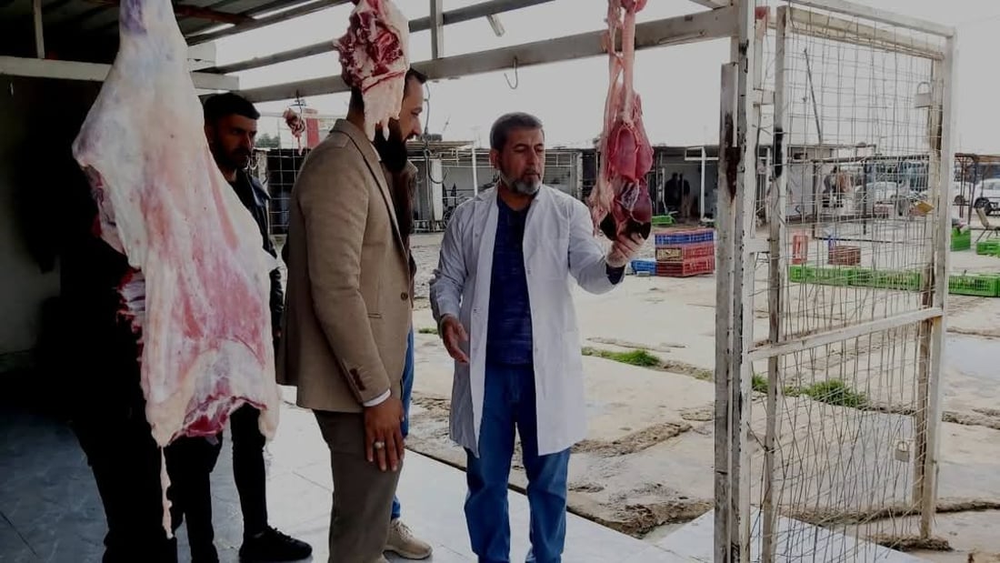 لە خورماتوو ئامادەکاری دەکرێت بۆ رووبەڕووبوونەوەی ڤایرۆسی FMD