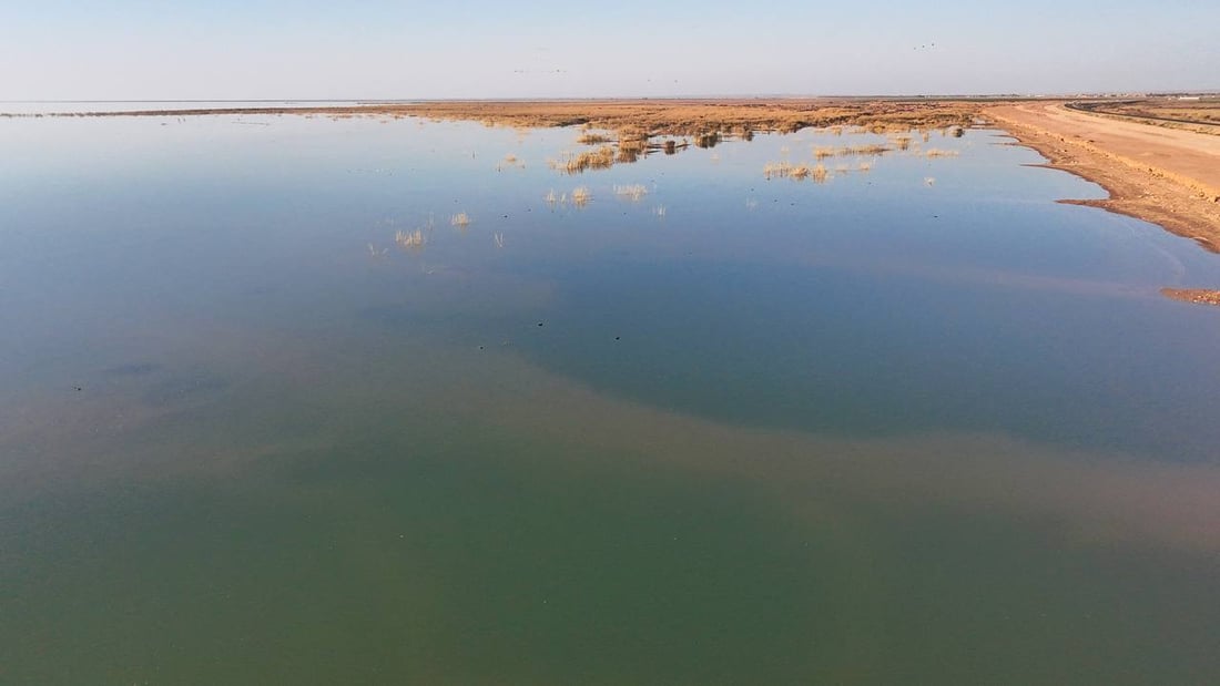 صور: الطيور المهاجرة تعود لبحيرة حمرين بعد الأمطار الغزيرة