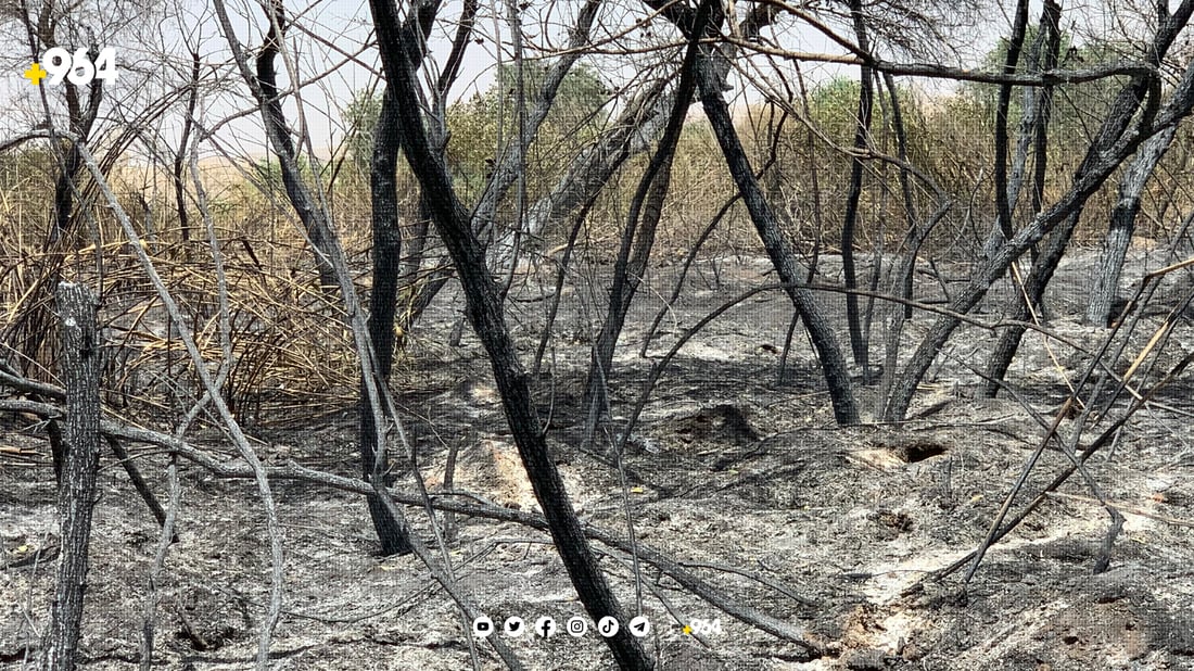 ئێوە پارێزەری خاکن، پوش و پاوانەکانتان مەسووتێنن