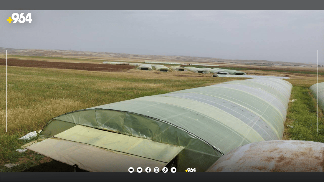 له‌ گوندێکی ئاکرێ رۆژانه‌ سێ تۆن خەیار بەرهەم ده‌هێندرێت