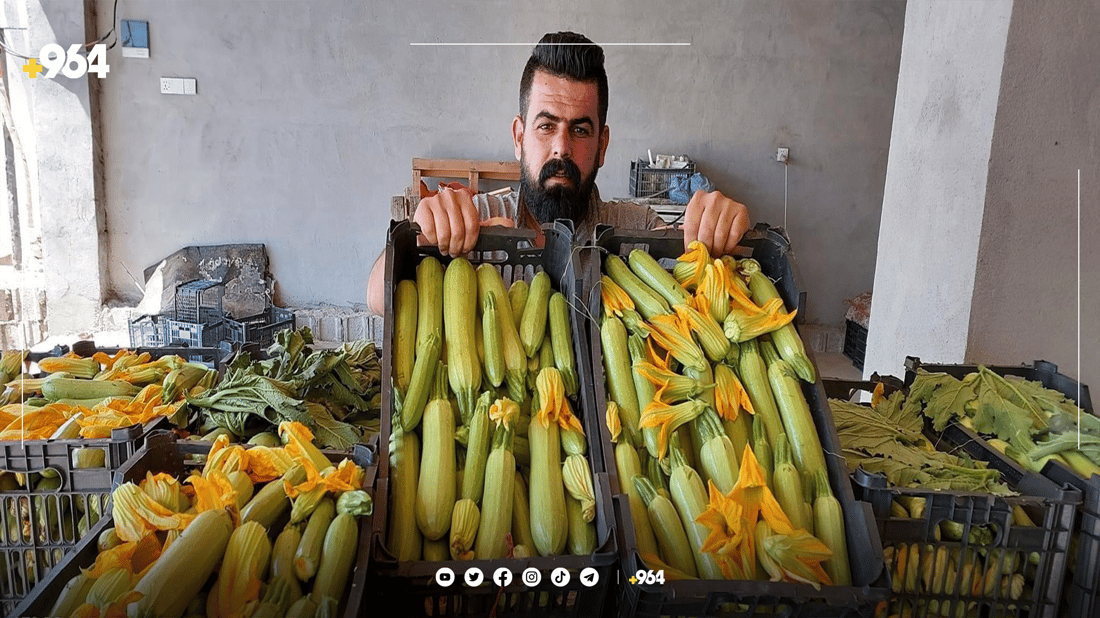 کولەکەی پێنجوێن بە جەژنی قوربان راگەیشت