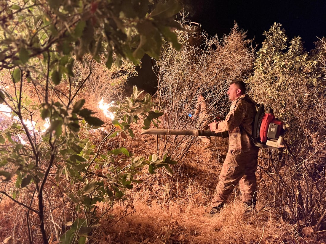 <?php echo get_the_title() ?>