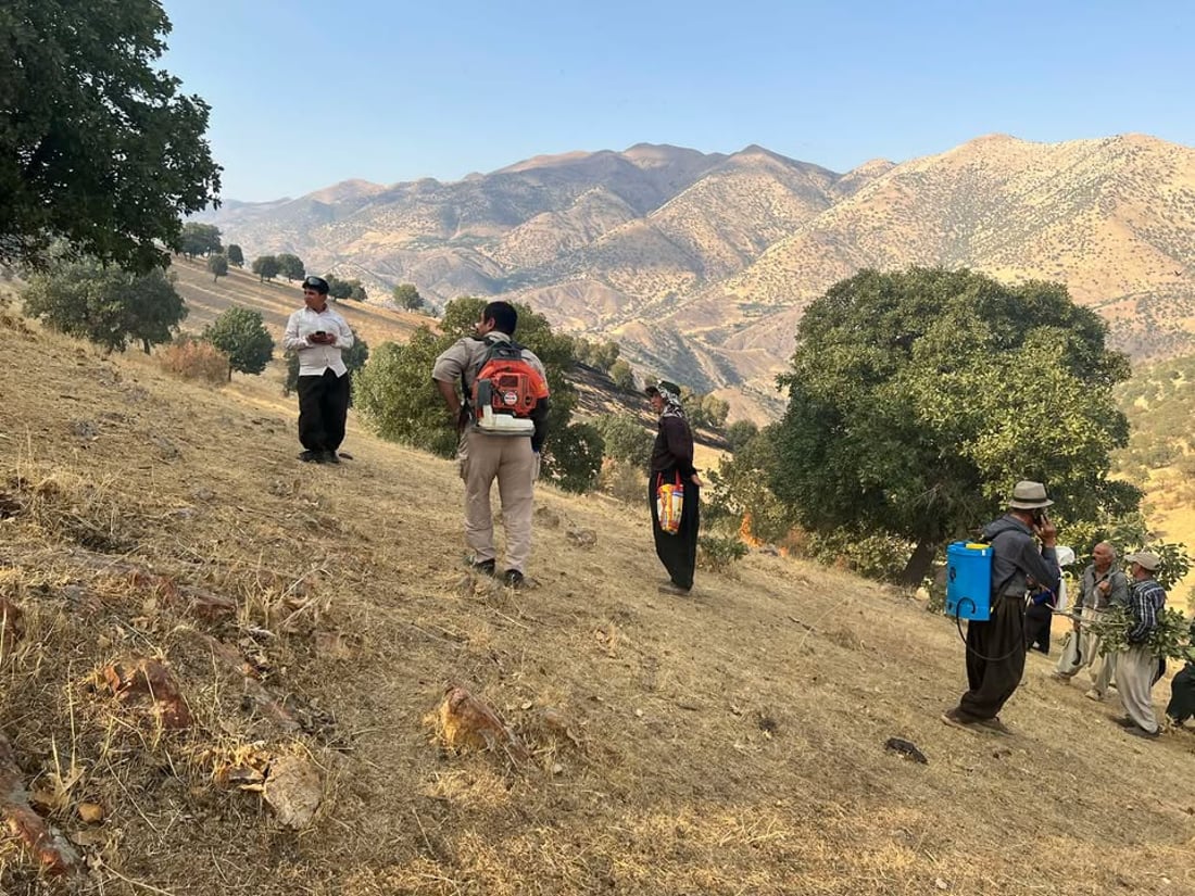 شۆرتی کارەبا زیاتر لە 1000 دۆنم پوش و پاوان و دارستانی لە شارباژێر سووتاند