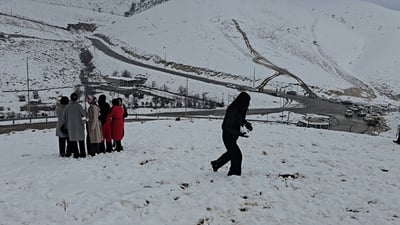 بەفرێکی زۆر لە گۆیژە باریوە و خۆشی دەردەبڕن