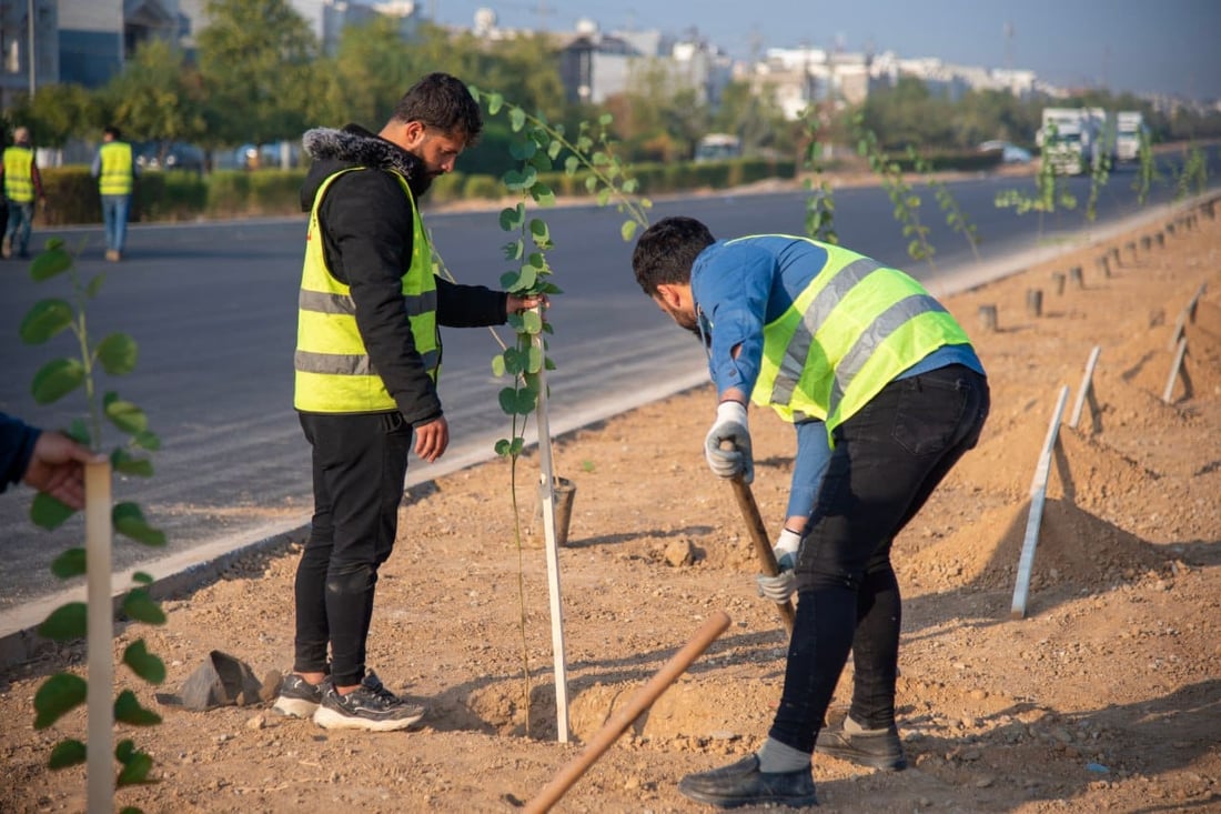 زیاتر لە 300 نەمام لە شەقامێكی 60 مەتریی فەرمانبەرانی هەولێر چێندران