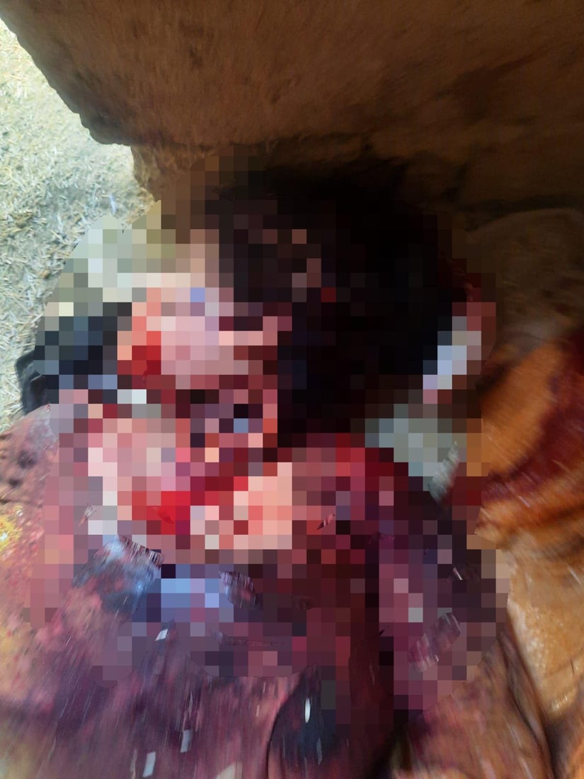 امرأة تذبح عروساً بالسكين في حظيرة أبقار بصلاح الدين