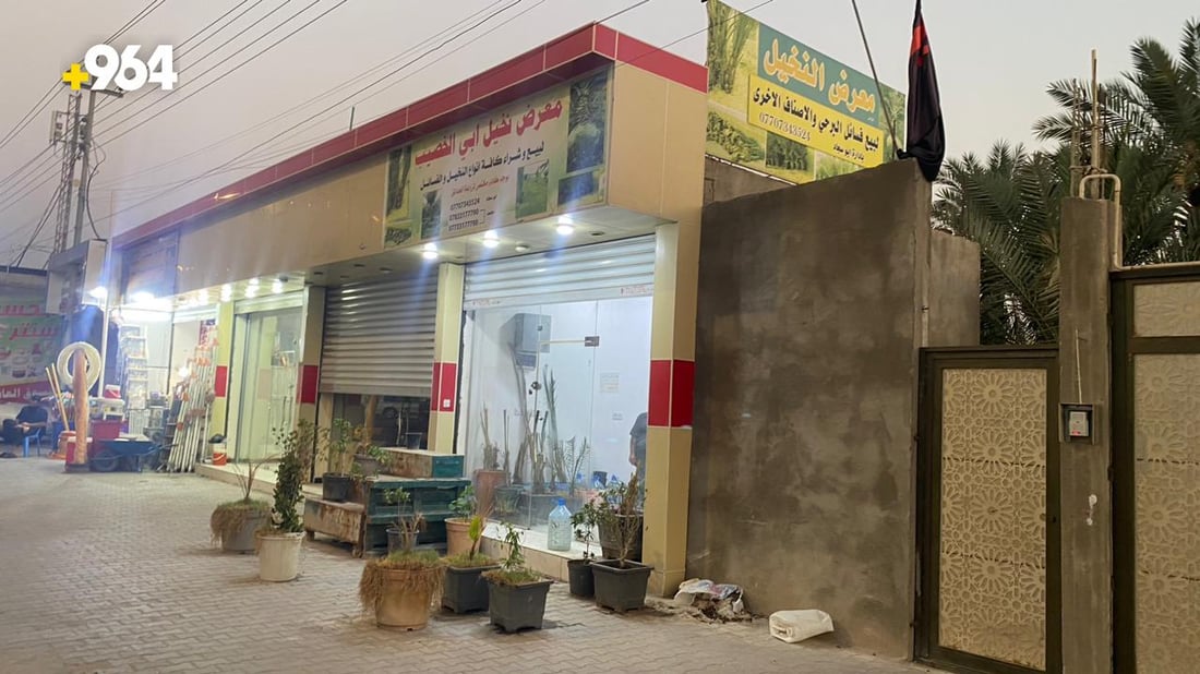 صور من البصرة: “أبو سجاد” يبيع أجود النخيل والسر في مختبرات البرحي و”العجوة”