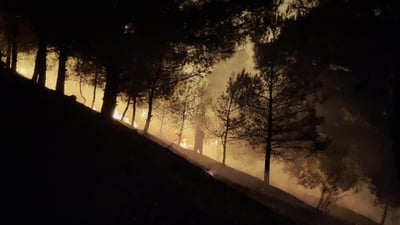 ئاگر لە شاخى گۆیژە کەوتەوە