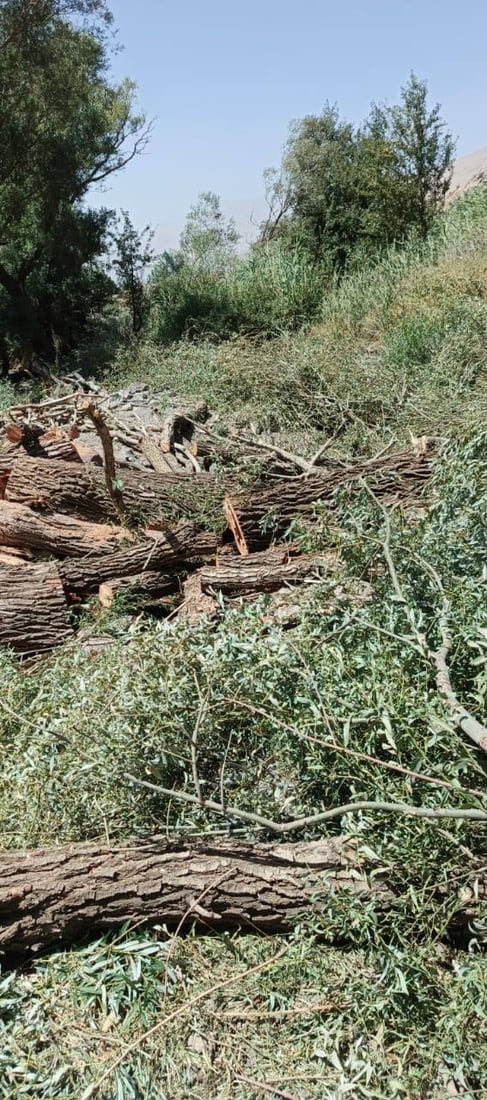 لە گوندێکی چۆمان 50 شۆڕەبی قەتڵوعام کران