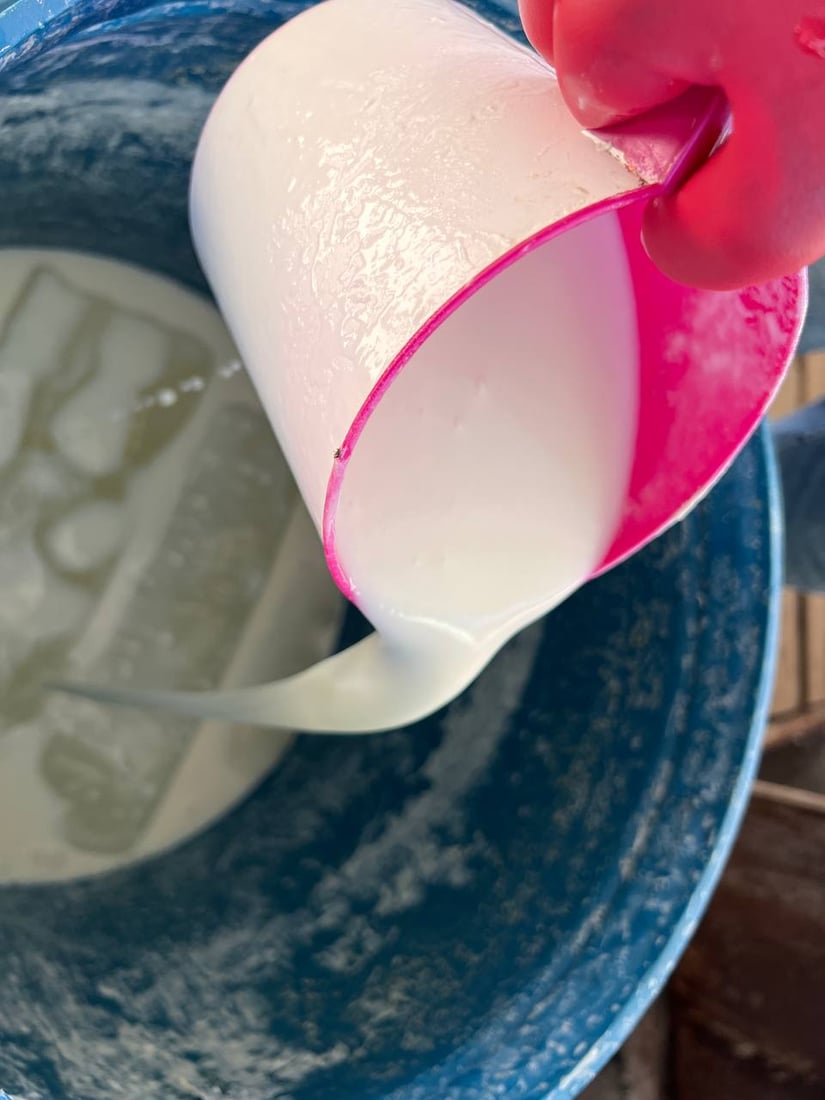 طازجة من مزارع جبور ودليم والبو عيثة.. ألبان الدورة مع التمر “لا تُقاوَم” (صور)