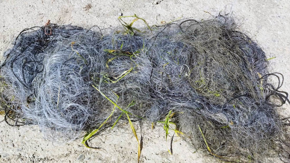 له‌ راپه‌ڕین 11 راوچی دیكه‌ ده‌ستگیركران