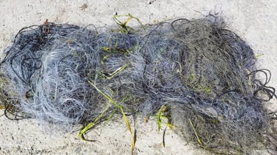 له‌ راپه‌ڕین 11 راوچی دیكه‌ ده‌ستگیركران