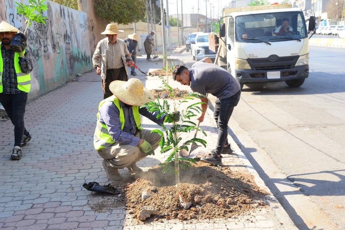 شەقامی 30 مەتری بە 300 دار سەوز کرا