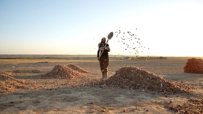 تم تصوير هذه الأفراح قبل قرار المالكي بفتح استيراد البصل!