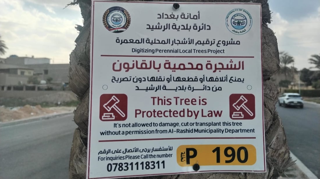 صور: تعليق عبارة “محمية بموجب القانون” على أشجار بغداد في السيدية والبياع