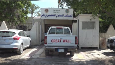 عيادات الحيوانات مزدحمة.. عدد الأطباء البيطريين في بابل “لا يكفي”