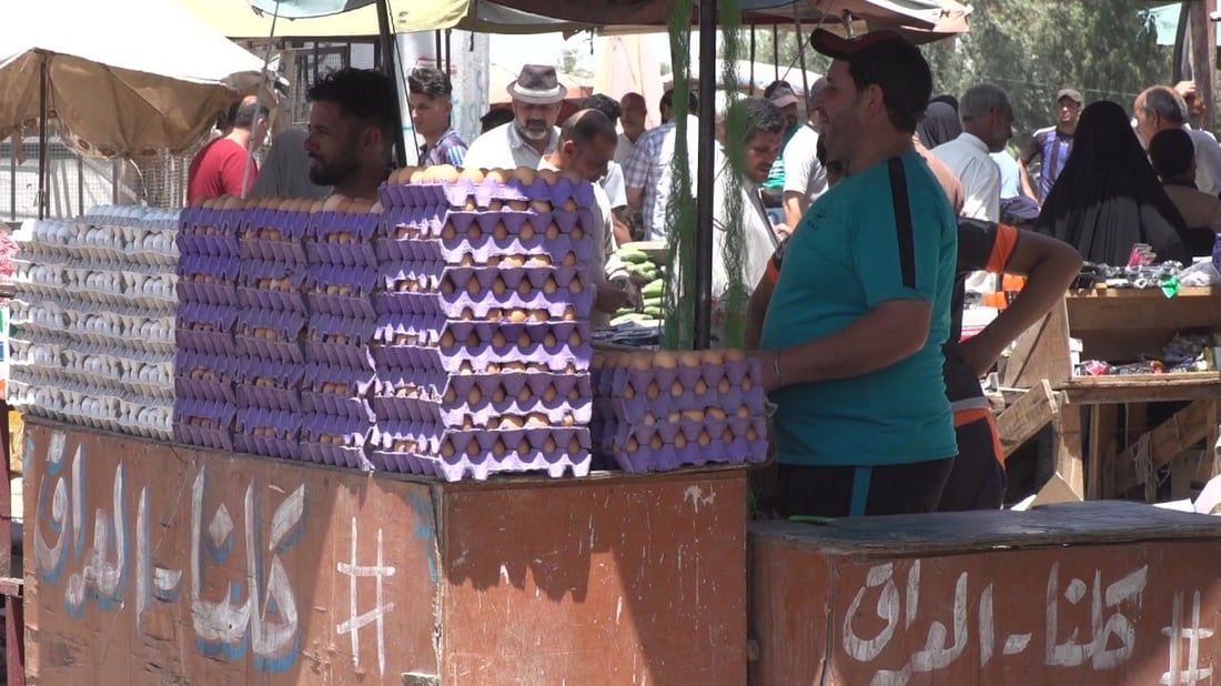 قفزة كبيرة في سعر البيض.. برد الشتاء و”كمال الأجسام” وأسباب أخرى من بابل