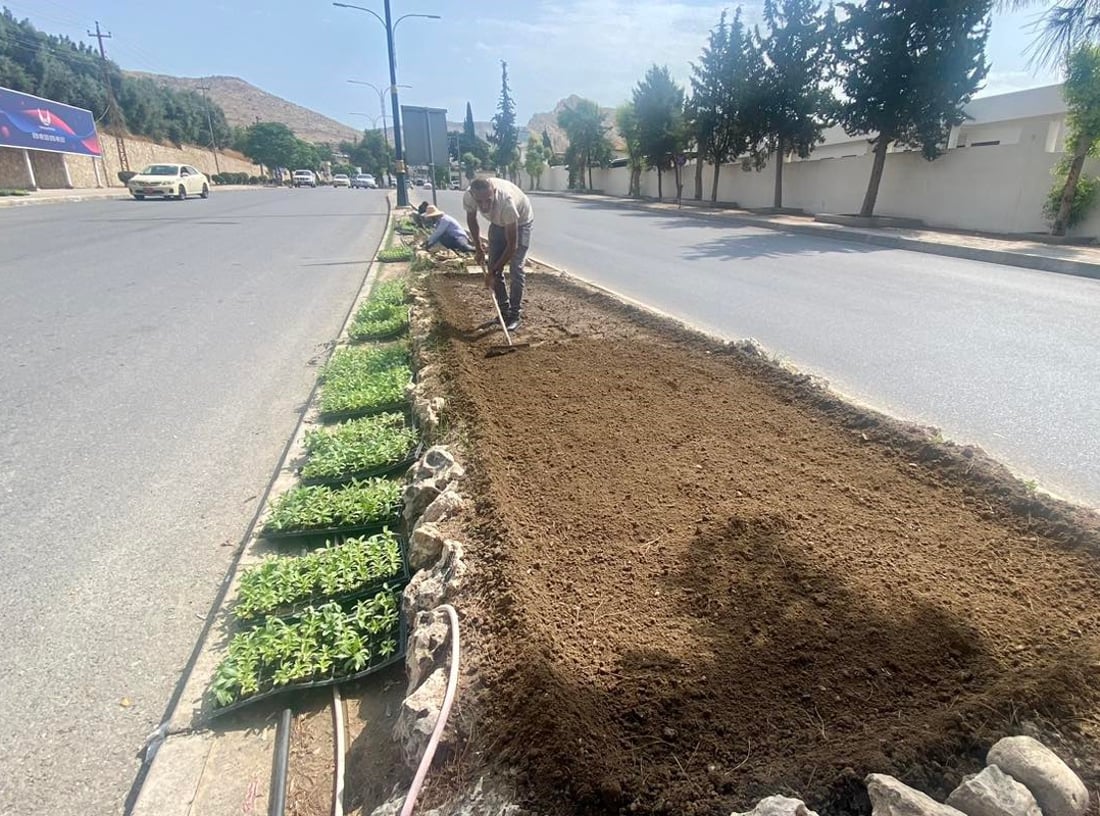 شەقامەكانی دهۆك بە گوڵ دەڕازێنرێنەوە