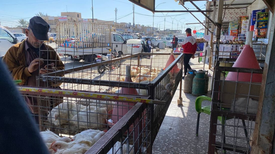 صور: قصابو أبو غريب أغلقوا محالهم بسبب ارتفاع الأسعار.. ودجاج أربيل أنسب البدائل