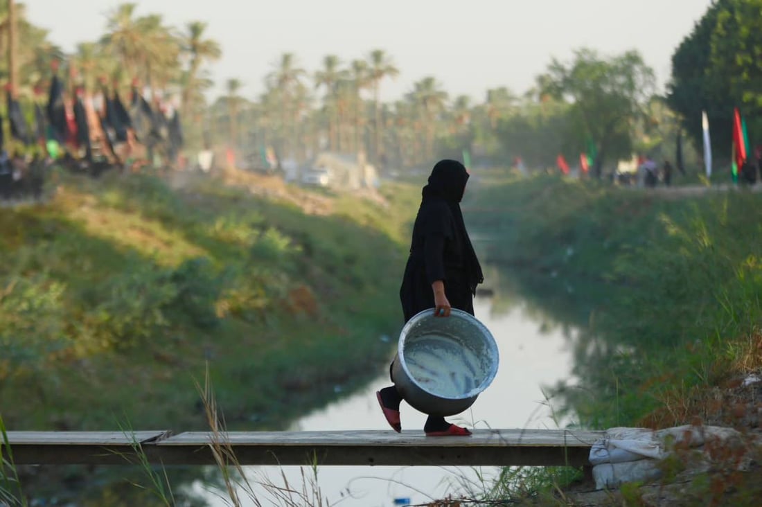 صور من بساتين بابل.. حشود الزائرين تشق طريقها نحو كربلاء مشياً على الأقدام