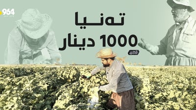 “لە 90%ـی جوتیاران زەرەریان کردووە “