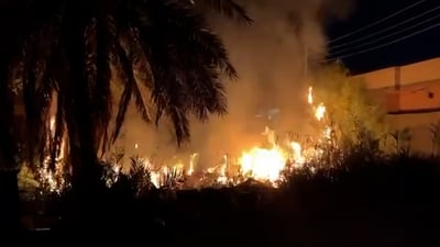 فيديو: النار أعلى من سعف النخيل.. الأهالي يخمدون حريقاً كبيراً في أبو الخصيب
