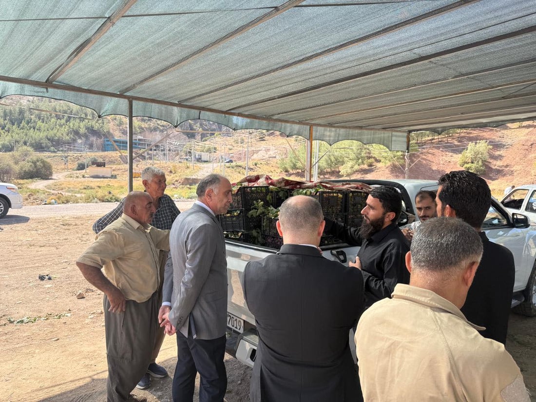 كۆمپانیایه‌كی خۆماڵی 6000 تۆن ترێ له‌ جوتیارانى دهۆک ده‌كڕێته‌وه‌