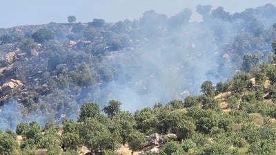 “دڵم بۆ ئەو سروشتە جوانەی قەرەداغ قرچەی دێت”