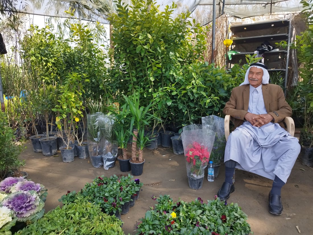 صور: ربيع بابل يجذب زبائن الجوري العراقي والأكاسيا والجهنمي